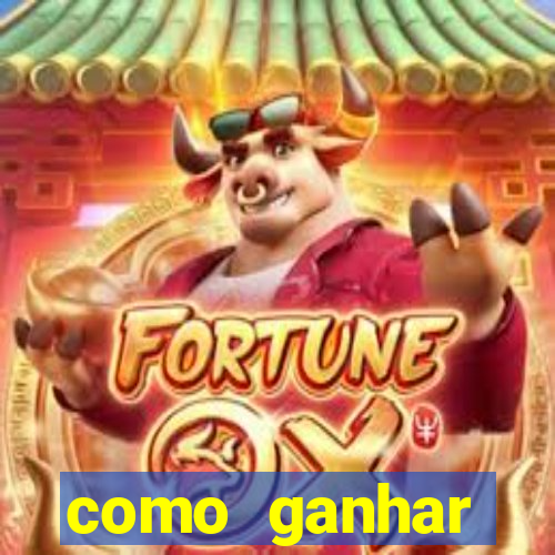 como ganhar dinheiro no jogo do touro